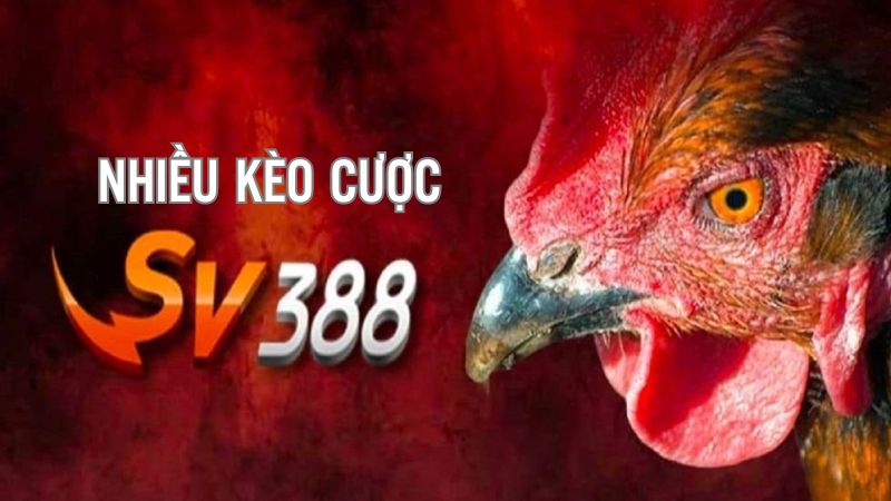 Nhiều thể loại kèo cược