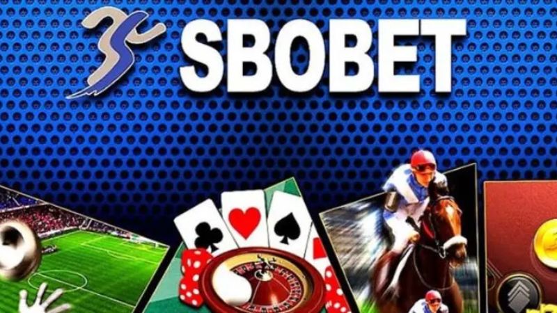 Đặc điểm nổi bật của sảnh cá cược thể thao Sbobet
